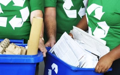 Guía para iniciar un programa de reciclaje en tu empresa